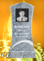 Вариант №14 Цена от 31700 до 58100 руб.