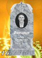 Вариант №16 Цена от 31700 до 58100 руб.