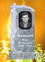 Вариант №17 Цена от 31700 до 58100 руб.