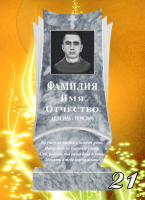 Вариант №21 Цена от 31700 до 58100 руб.