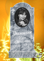 Вариант №25 Цена от 31900 до 58300 руб.