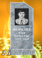 Вариант №26 Цена от 31500 до 57900 руб.