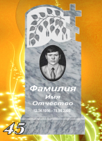 Вариант №45 Цена от 32800 до 59200 руб.