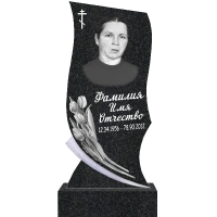 Вариант №106 Цена от 43400 руб.