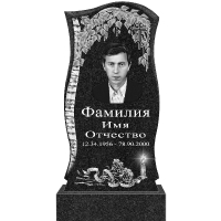 Вариант №107 Цена от 44100 руб.