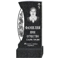 Вариант №10 Цена 43400 руб.