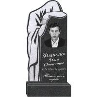 Вариант №11 Цена от 43200 руб.