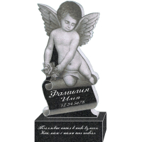 Вариант №12 Цена от 42400 руб.