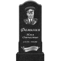 Вариант №132 Цена от 42700 руб.