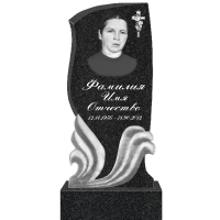 Вариант №133 Цена от 42700 руб.