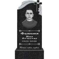 Вариант №134 Цена от 42600 руб.